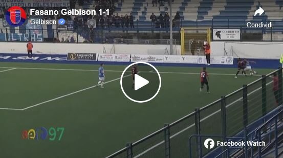 Fasano-Gelbison 1-1, video gol e highlights
